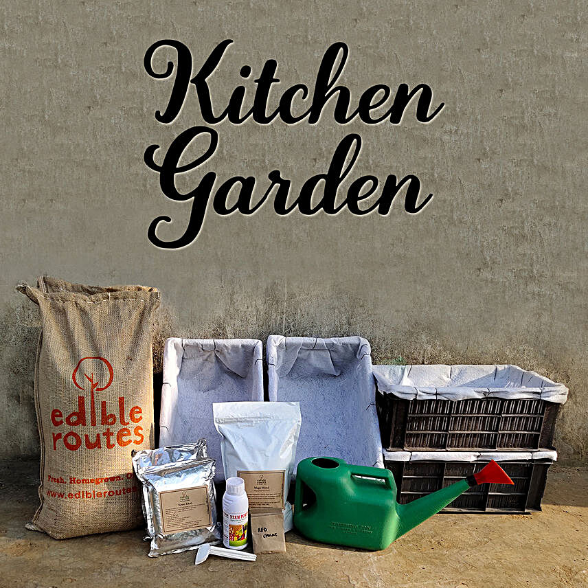 Healthy Veggie Kitchen Garden Crates