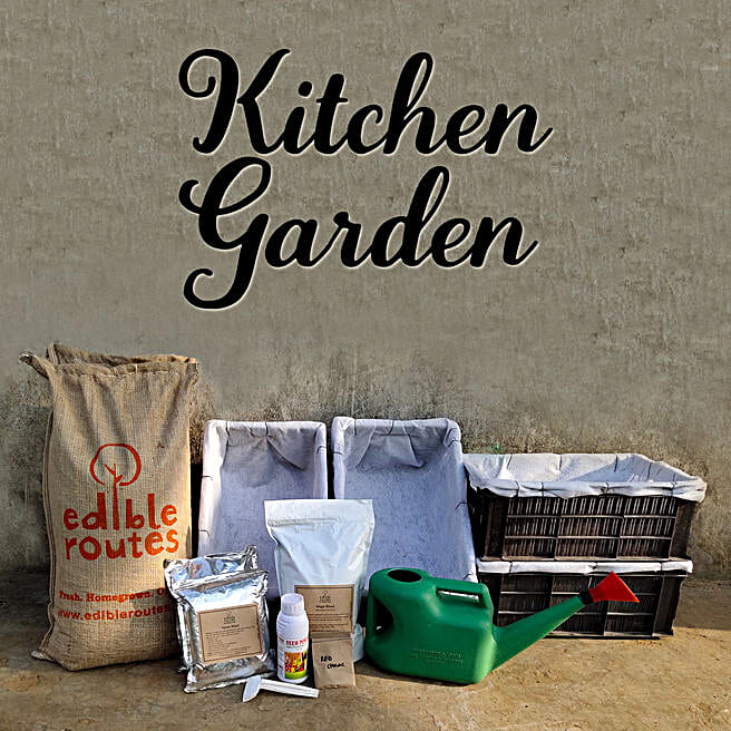 Buy/Send Vegetable Kitchen Garden Crates Online FNP