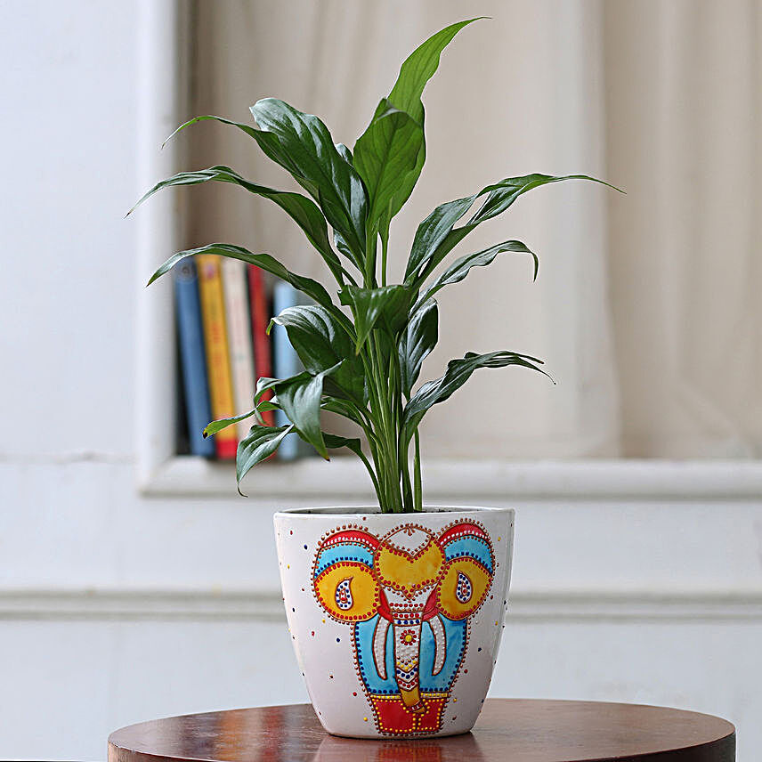 Peace Lily Plant in Hand painted Ceramic Planter