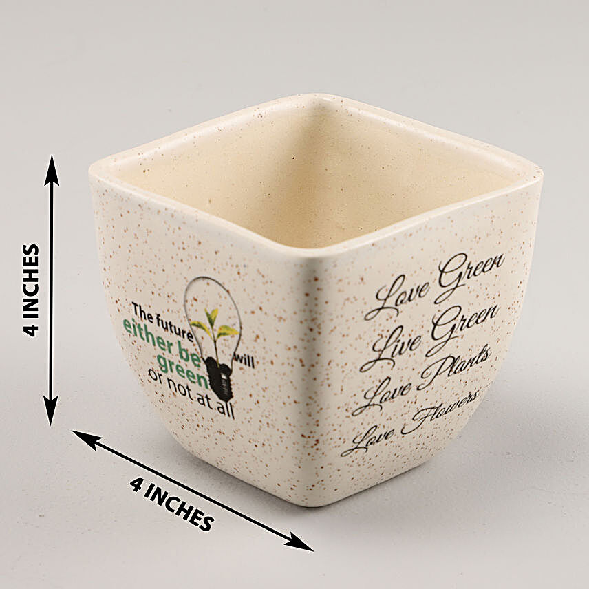 Think Green Ceramic Pot