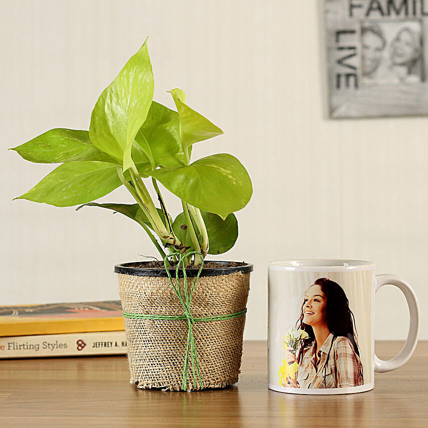 Money Plant Personalised White Mug
