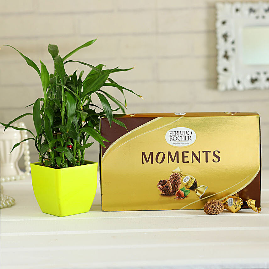 chocolate with lucky plant online:Diwali Gifts for Boyfriend