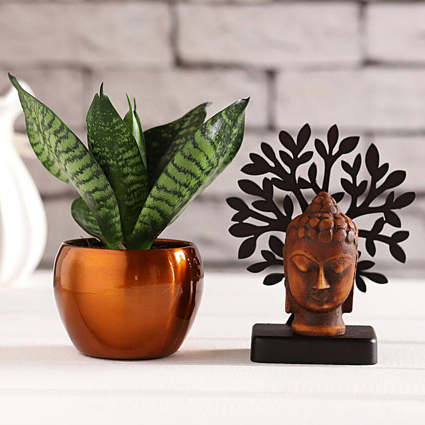 Brown Buddha Face Idol & Sansevieria Plant