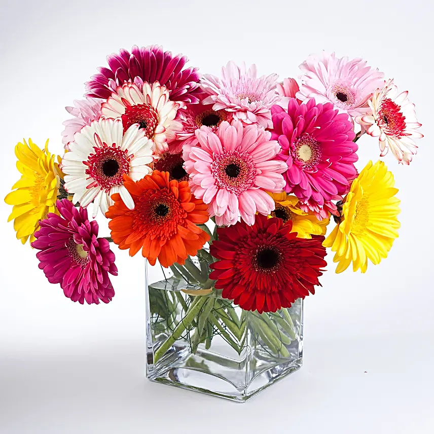 Elegant Gerberas In Glass Vase:Flowers For New Year