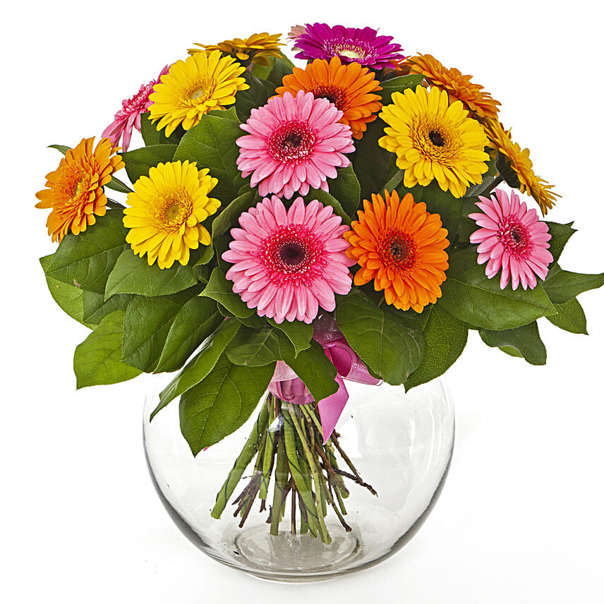 Flowers Of Paradise Gerberas Vase