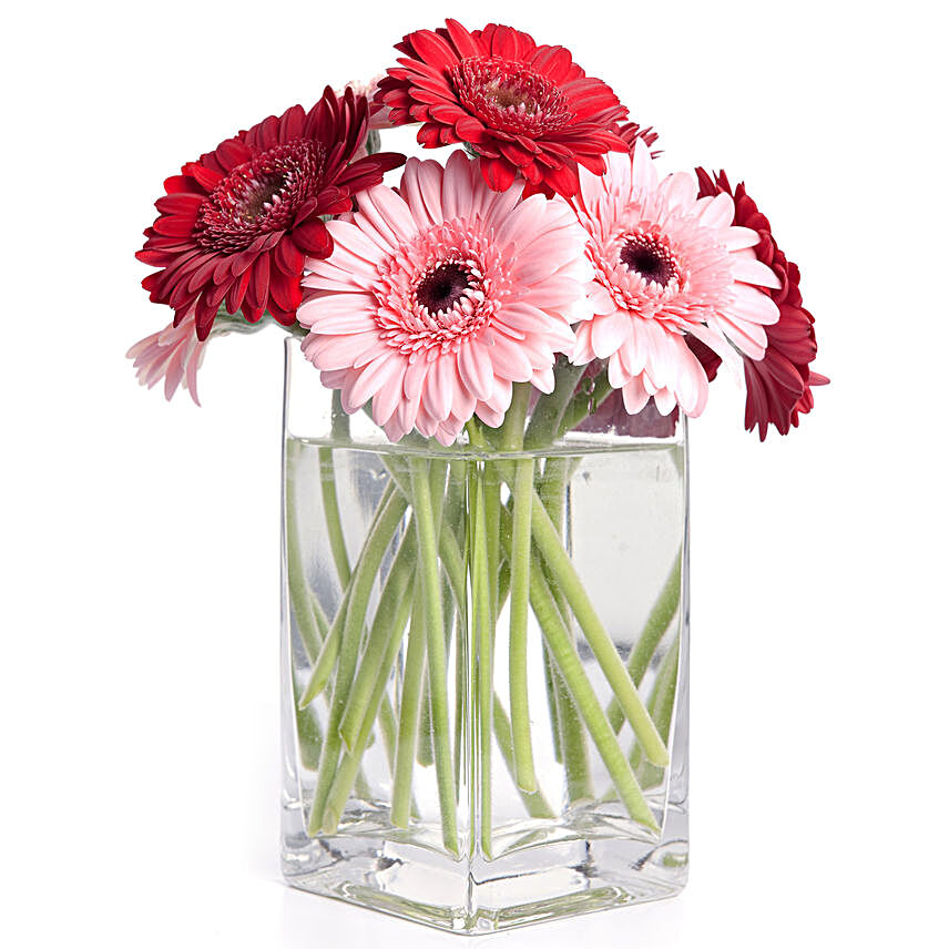 Blooming 10 Mixed Gerberas Glass Vase