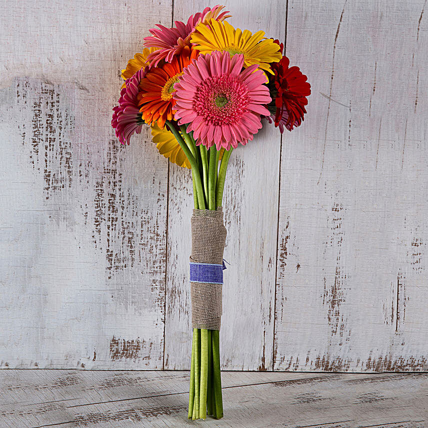 Lovely Gerberas Bunch:Thanks Giving Day Flowers