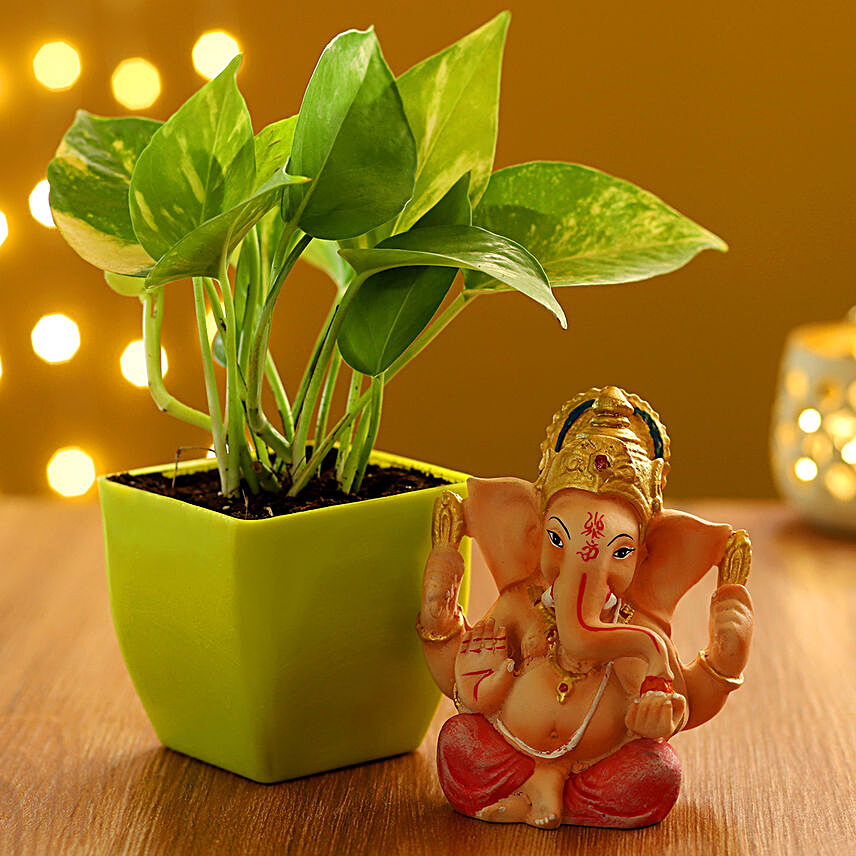 Money Plant in Green Pot & Ganesha Idol