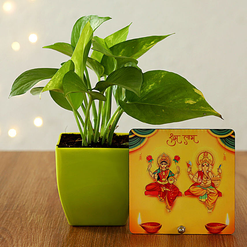 Money Plant in Green Pot Diwali Table Top