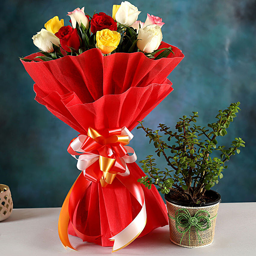 Jade Plant & Colourful Rose Bouquet