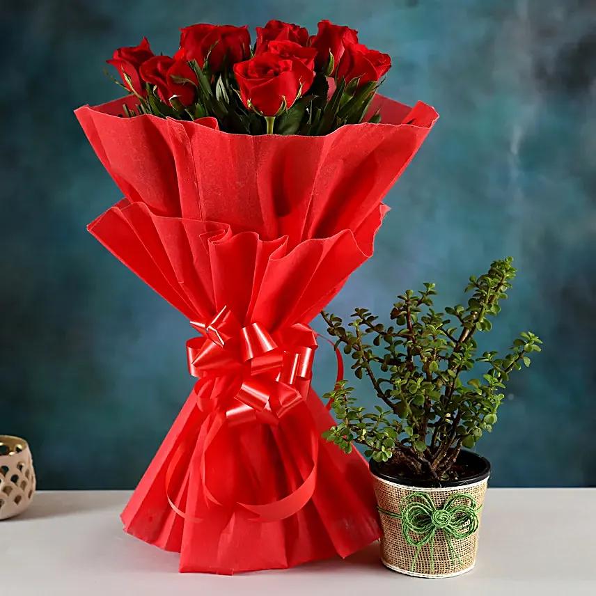 Send Plant And  Bouquet:Red Roses