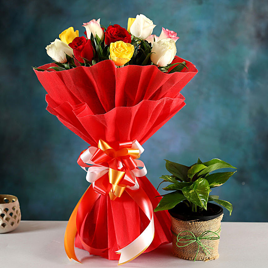 Money Plant & Colourful Rose Bouquet
