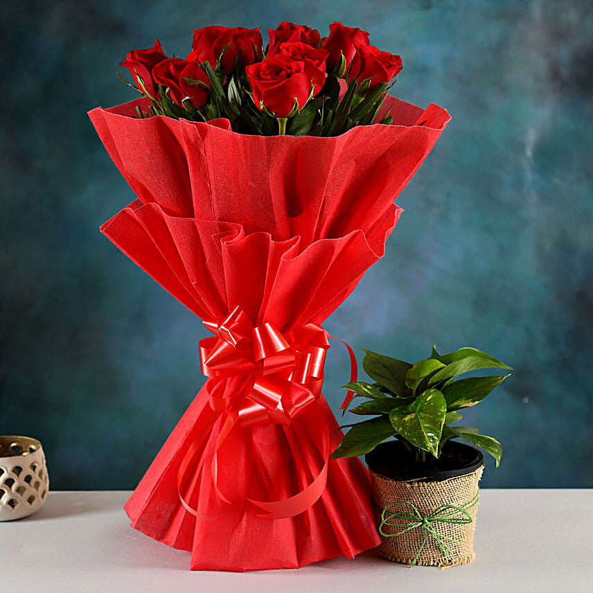 Money Plant & Red Rose Bouquet