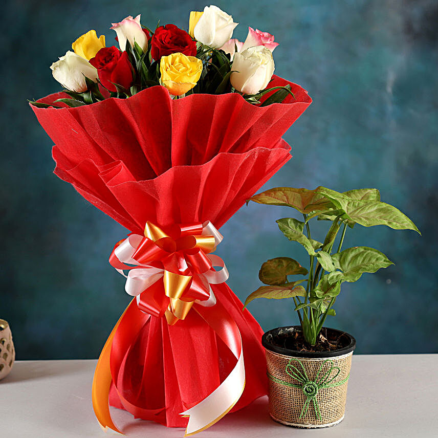 Send Syngonium Plant And Rose Bouquet:Bunch of Flowers