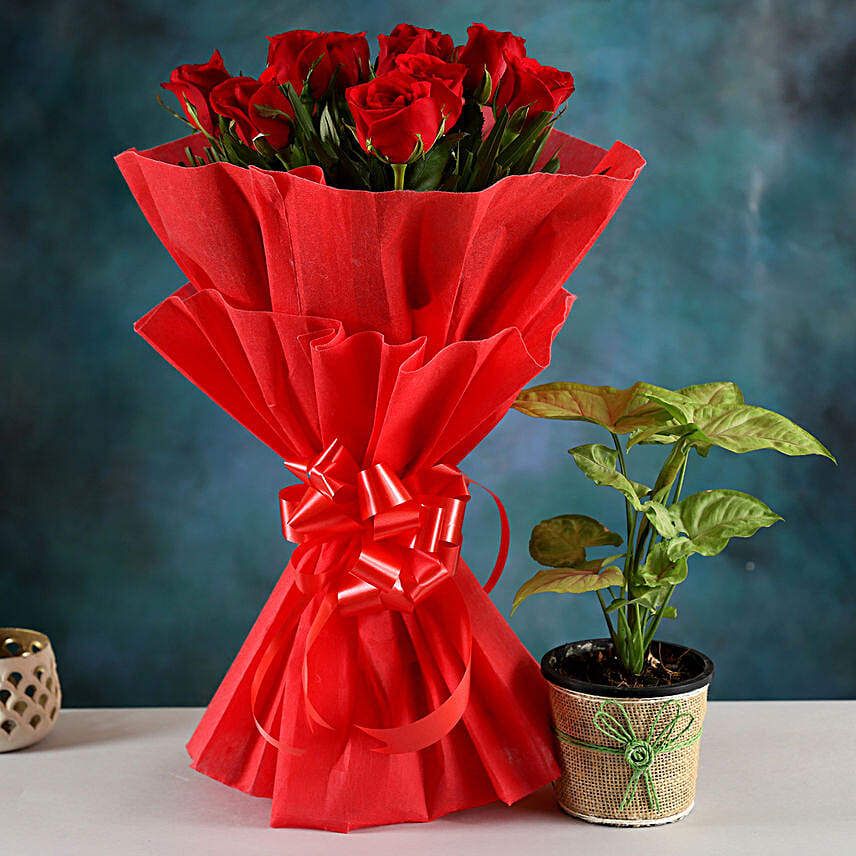 Syngonium Plant & Red Rose Bouquet