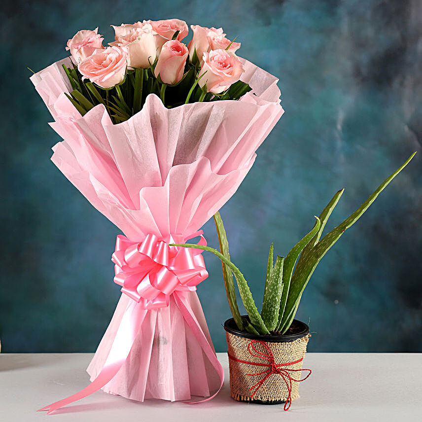 Aloe Vera Plant & Pink Rose Bouquet