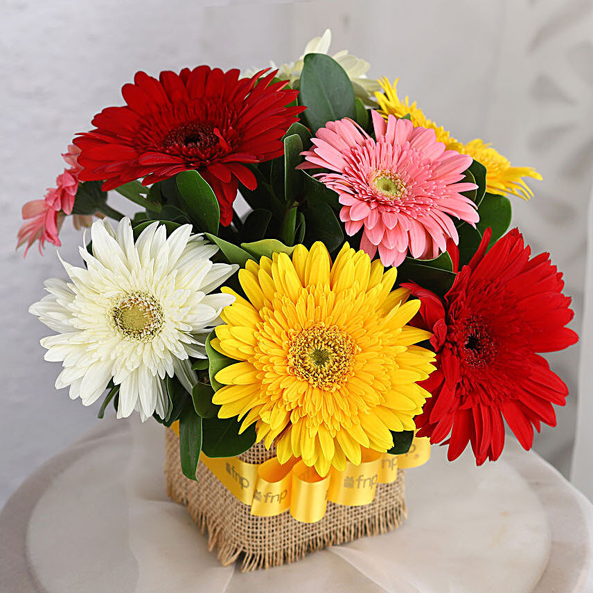 Petite Mixed Gerbera Floral Vase:Mixed Colour Flowers