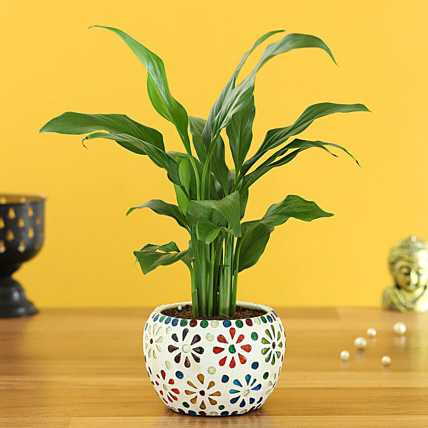Peace Lily Plant In Floral Mosaic Design Metal Pot