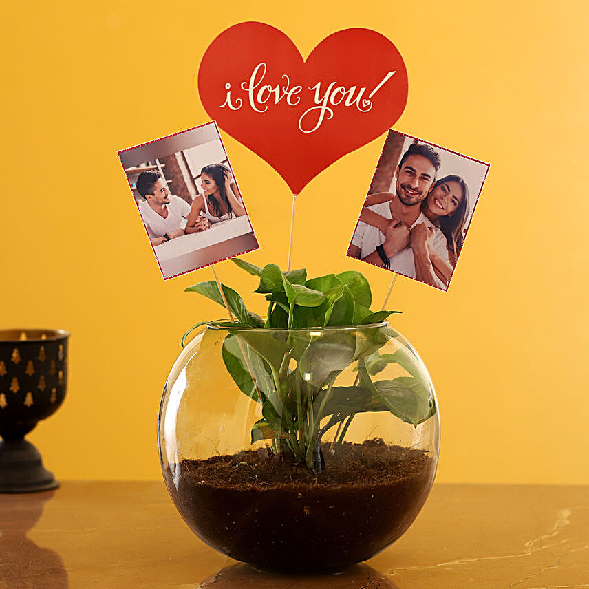 Personalised Love Money Plant Terrarium