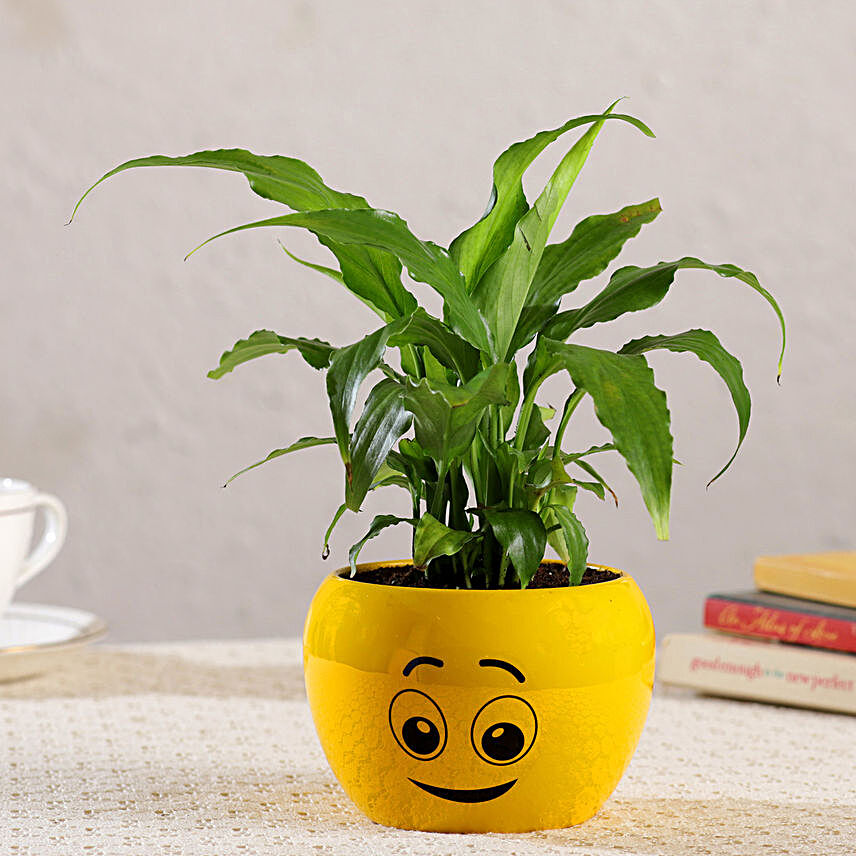 Peace Lily Plant In Cute Emoji Printed Pot