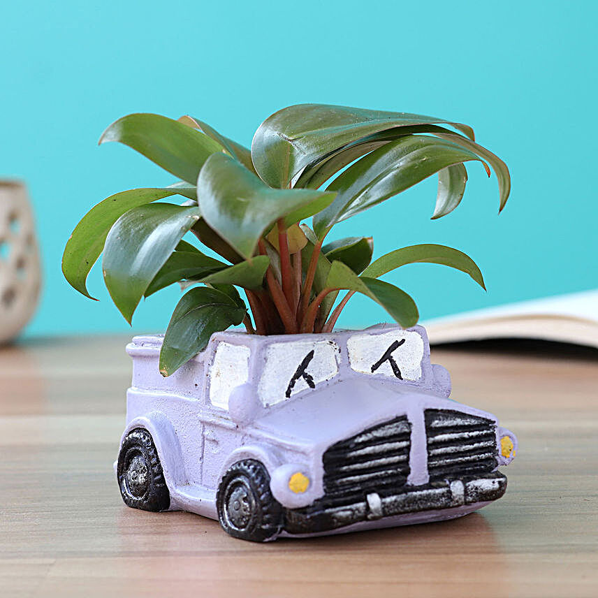 Red Philodendron In Resin Jeep Pot