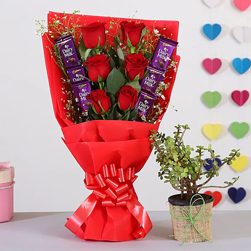 Red Roses Bouquet With Jade Plant Chocolates