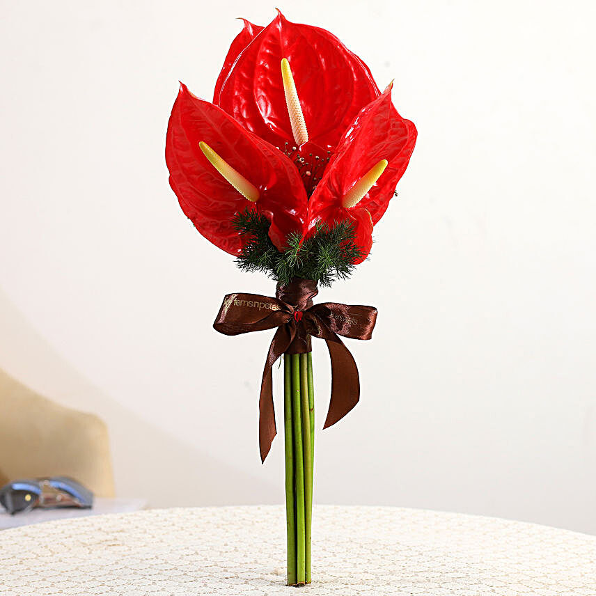 6 Red Anthuriums Tied With FNP Brown Ribbon