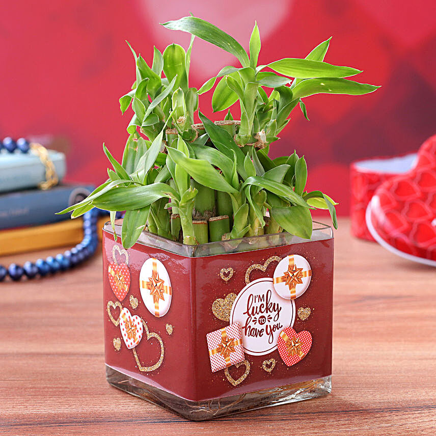 Lucky Bamboo in Valentines Glass Vase:Propose Day Plants