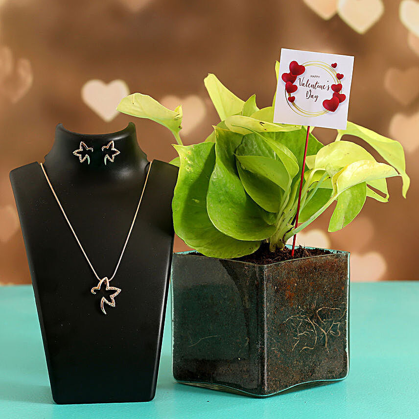 Money Plant In Glass Vase With V Day Tag and Jewellery Set