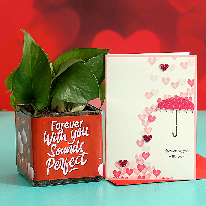 Money Plant In Sticker Vase and Greeting Card