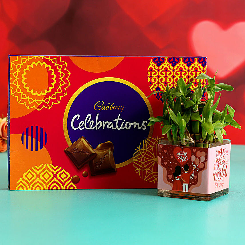 Two Layer Bamboo Plant In Sticker Vase and Cadbury Celebrations