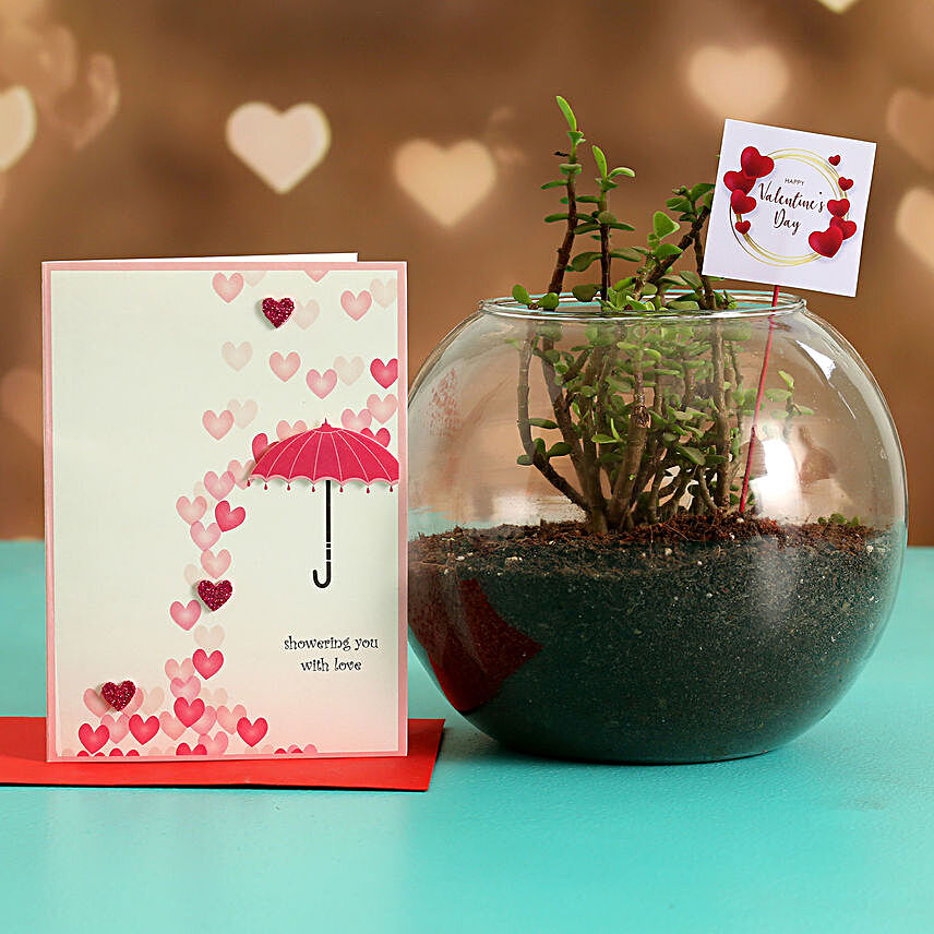 Jade Plant In Glass Vase With Greeting Card and V Day Tag