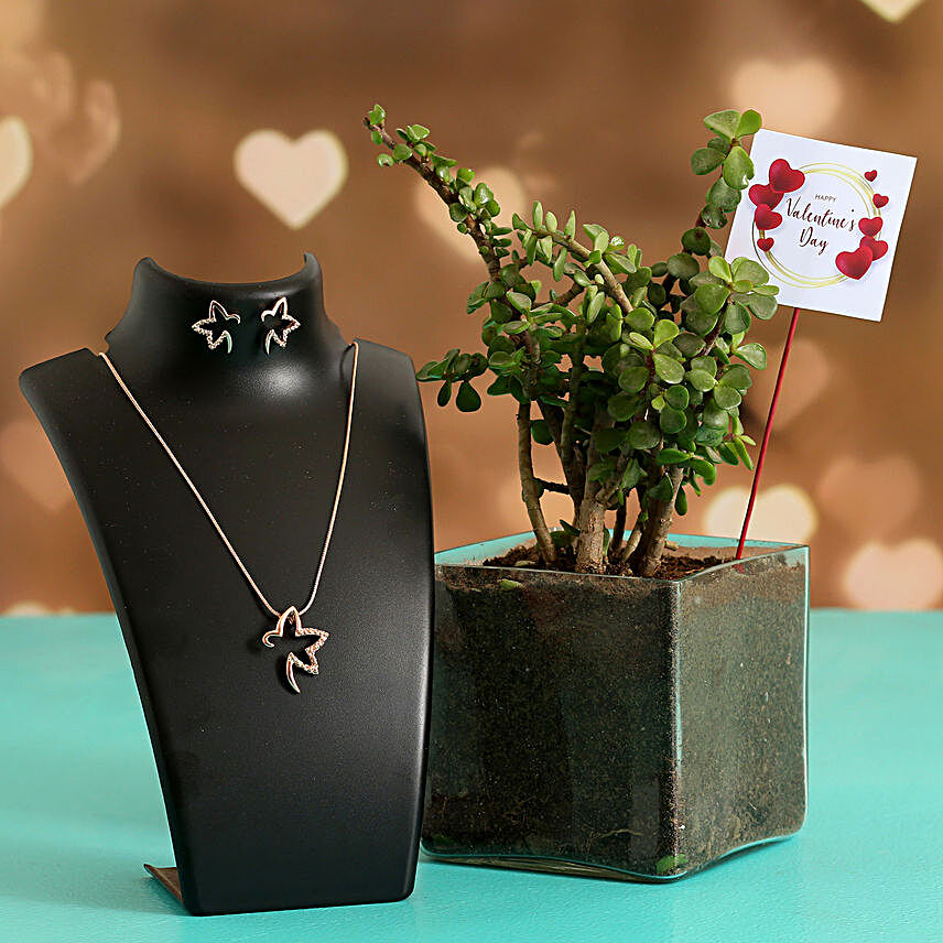 Jade Plant In Glass Vase With Jewellery Set and V Day Tag