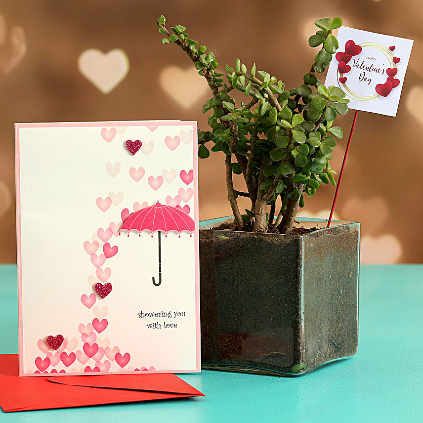 Jade Plant In Glass Vase With V Day Tag and Greeting Card