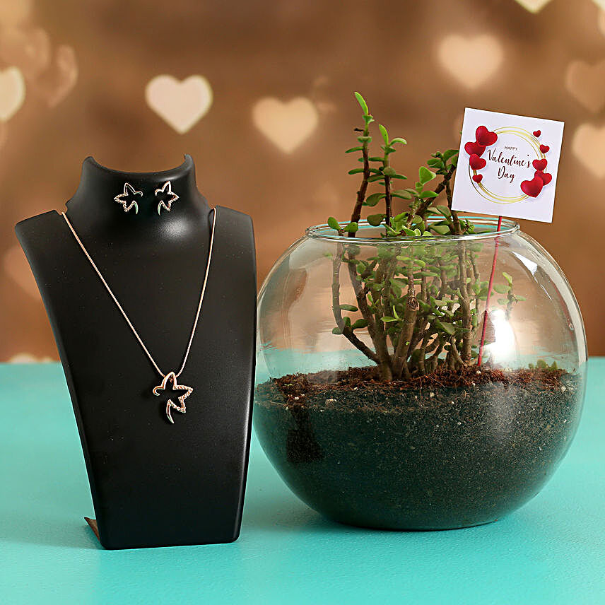 Jade Plant In Glass Vase With V Day Tag and Jewellery Set