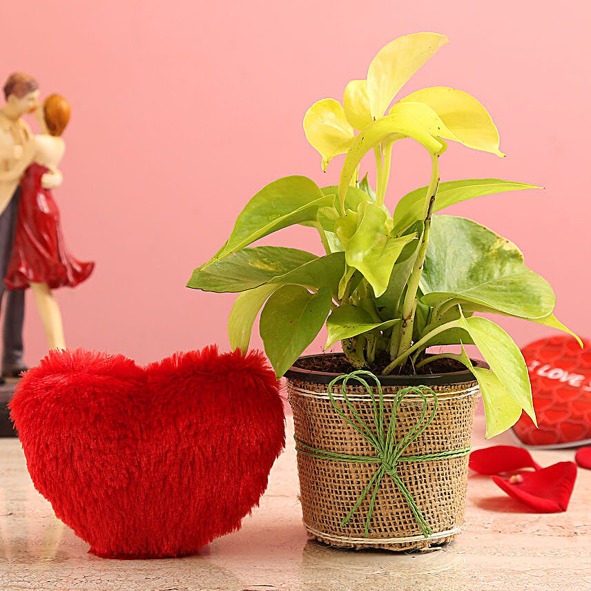 Money Plant In Brown Jute Wrapped Pot & Red Heart
