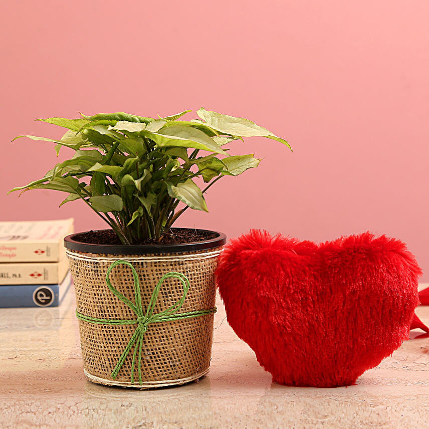 Syngonium Plant In Jute Wrapped Pot & Red Heart