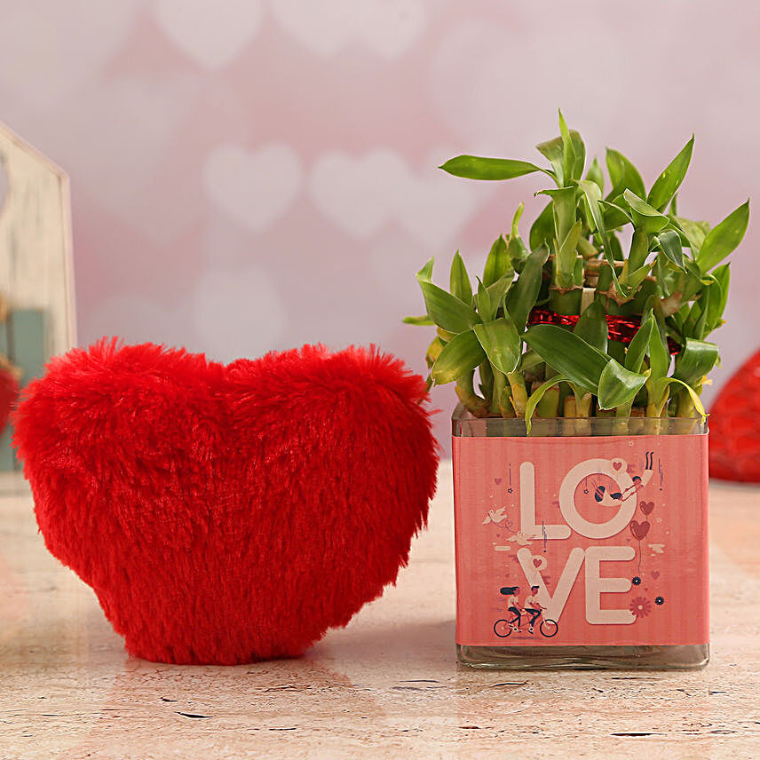 Two Layer Bamboo Plant In Love Vase & Red Heart