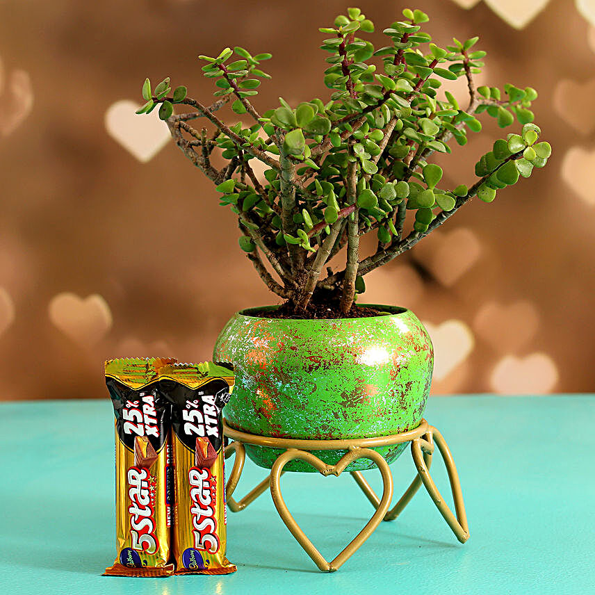 Jade Plant In Green Glittery Pot & 5 Star Chocolates