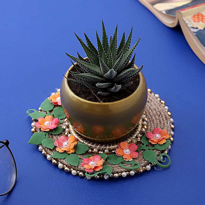 Howarthia Zebra Plant In Golden Pot And Decorative plate