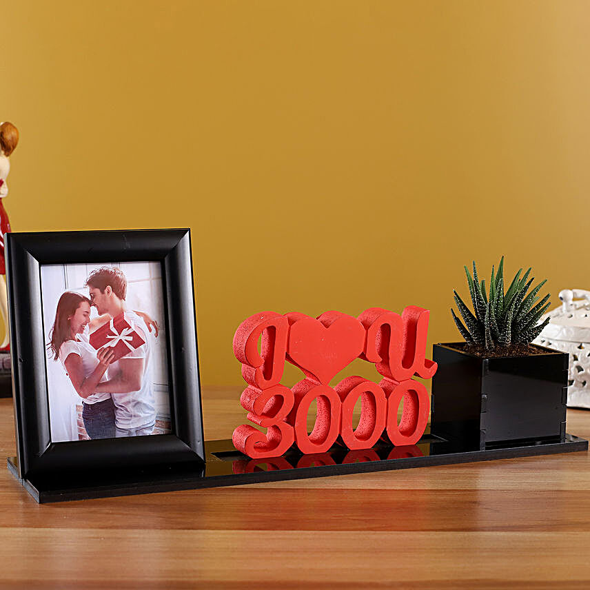 Howarthia Plant In Love You Planter With Couple Frame