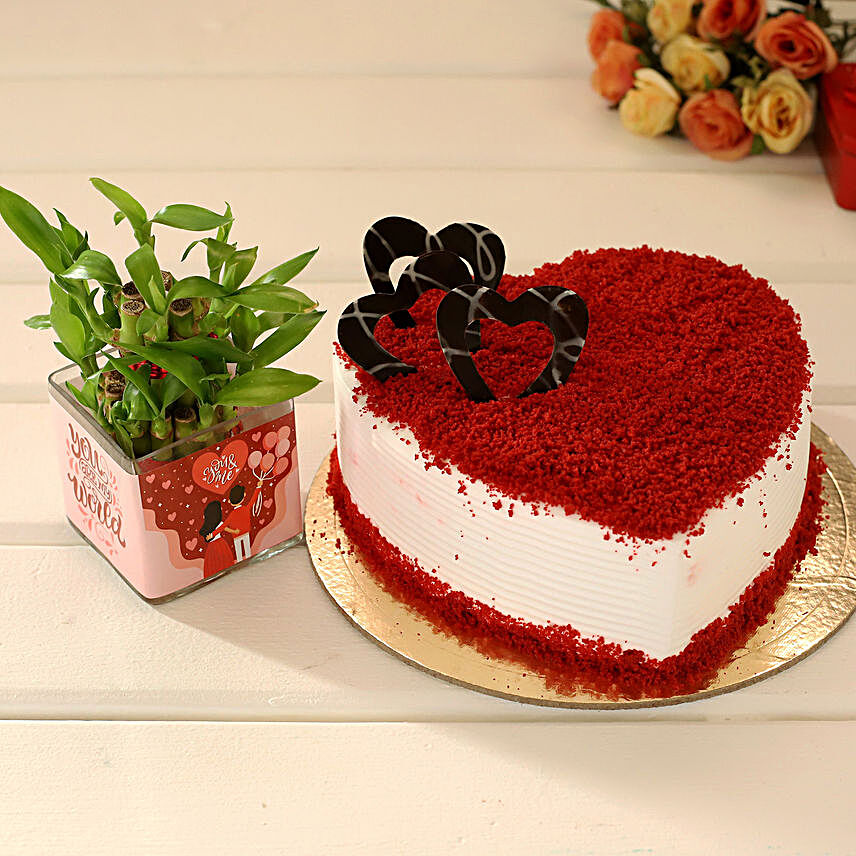 Bamboo Plant And Lovely Red Velvet Cake