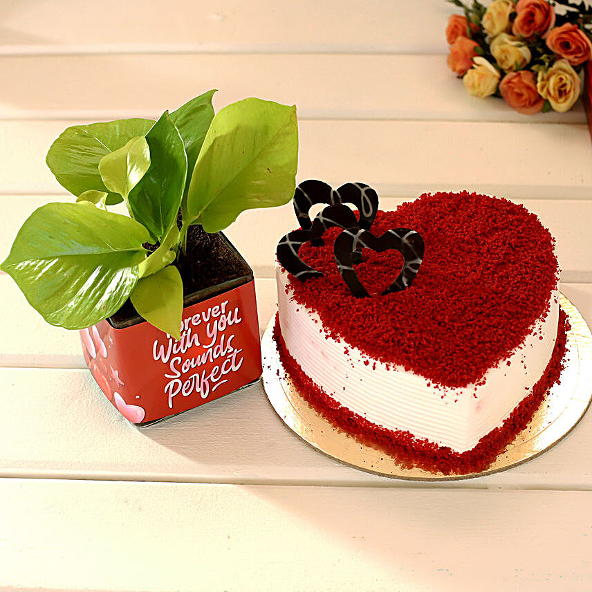 Red Heart Velvet Cake And Money Plant