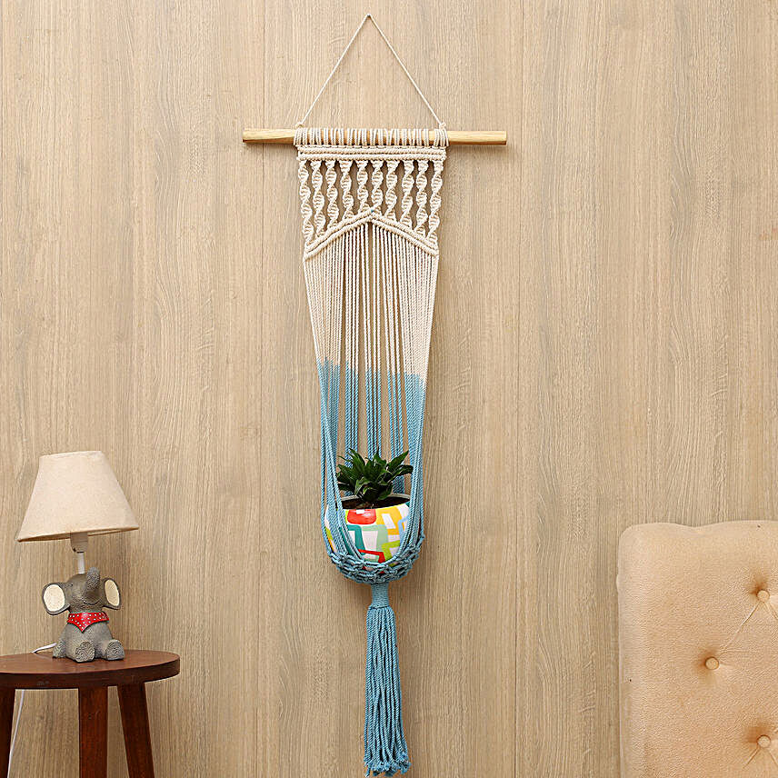 Dracaena Plant With Handcrafted Hanging Planter