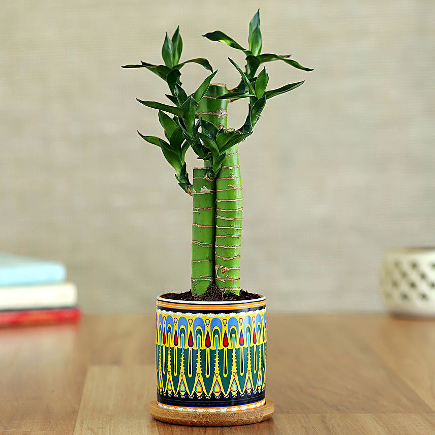 Cut Leaf Bamboo Plant In Rangoli Pot With Wooden Plate