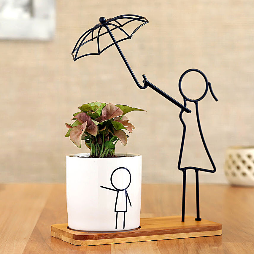Syngonium Plant In White Pot With Cute Umbrella Stand