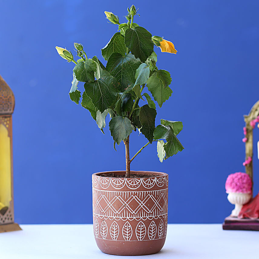 Hibiscus Plant In Brown & White Tribal Print Pot