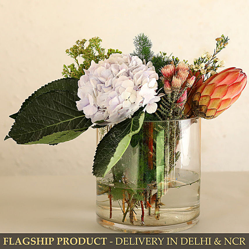 Serene Hydrangea And Cape Protea In Glass Vase