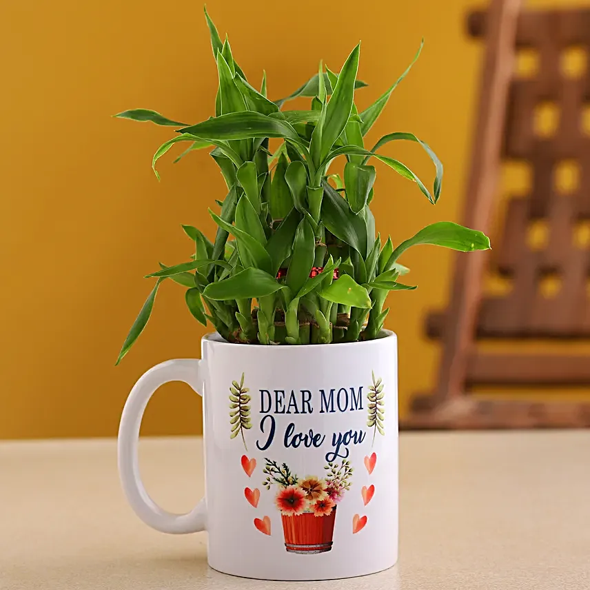 Two Layer Bamboo Plant In Mom I Love You Mug:Send Lucky Bamboo for Mothers Day