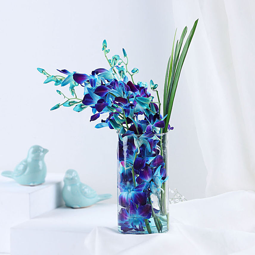 Lovely Orchids Dandella In Cylindrical Vase:Birthday Gift Ideas for Boyfriend